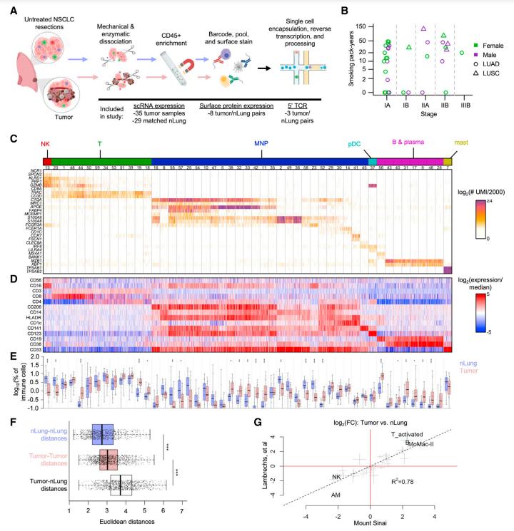 scRNA-seq e CITE-seq estabelecem a diversidade de estados transcricionais no microambiente tumoral. (Leader et al., 2021)