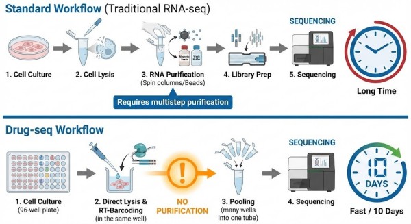 Comparison diagram of Drug-seq direct lysis workflow versus traditional RNA-seq extraction steps, showing time and cost efficiency for high-throughput screening.